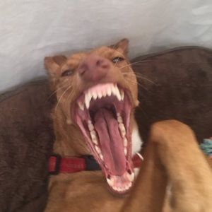 Meet your Posher, Mary